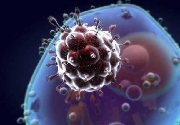  喝一杯|如果你在睡觉前喝一杯洋葱水，也许五件好事，会出现在你身上！