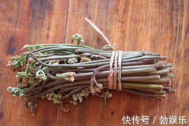 蕨菜|肿瘤主任癌症晚期,常吃3种蔬菜,或让你多活10年!