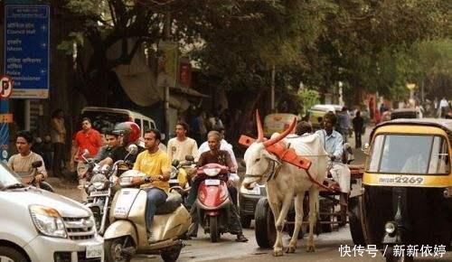 补丁|都是用“沥青”铺路，日本年年如新，印度却满是补丁？