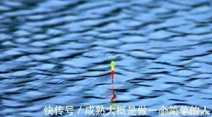 钓目|新手调漂,如何准确调漂找底以及更好的调节浮漂灵敏度,看这里