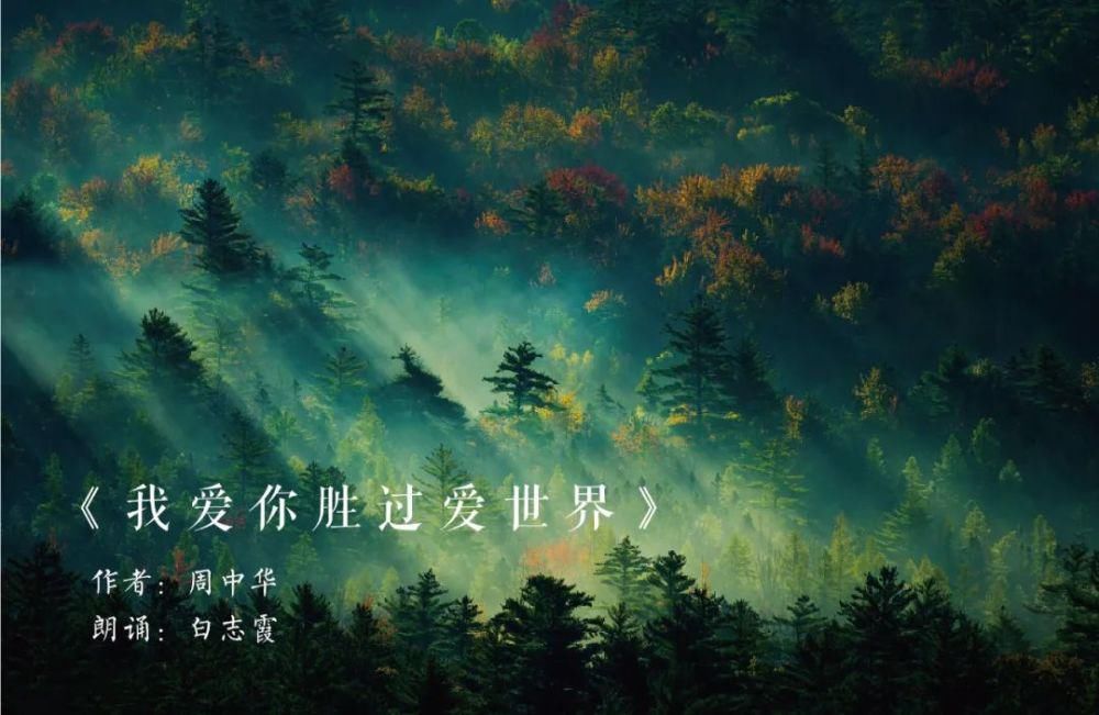  美好|我爱你胜过爱世界！