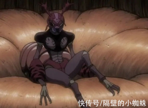 小蜘蛛|全职猎人:蚂蚁明明只有“B级”,那为何能“差点”统一大陆?