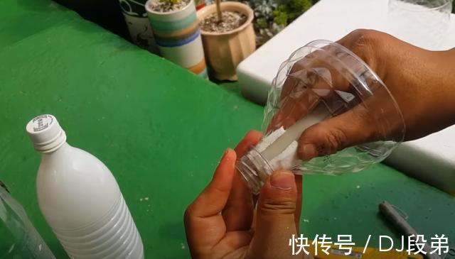 瓶口|攒了1个月的塑料瓶,瓶口朝下一个扣一个,用来扦插多肉,生根快