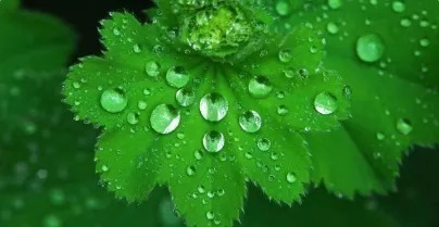 晚年#人到六十,判断晚年是否有“福气”,看这三样东西就知道了