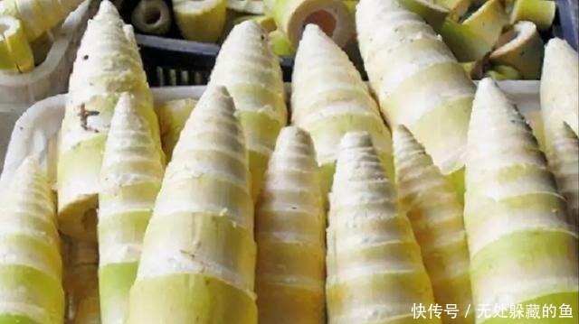 买竹笋时,挑粗的好还是长得好差别大了,别搞错了