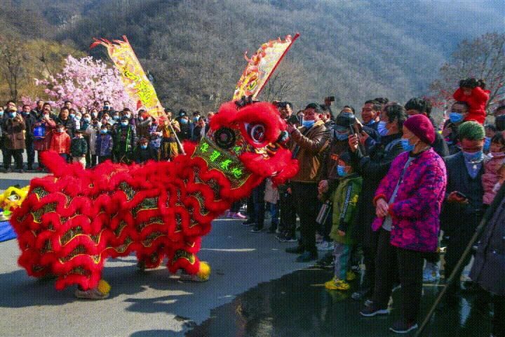 中年|春节周边游新“趣”处！舞龙汇演、冰挂雪景，云台山统统都有！