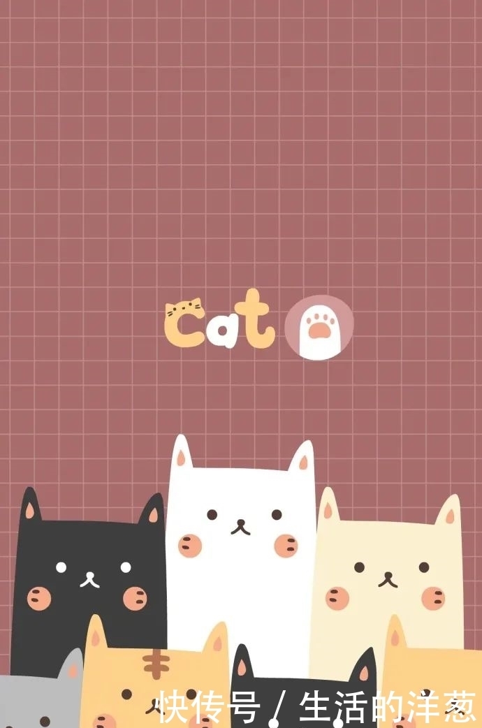 配不上|原来的壁纸已经配不上你的iPhone12了,快来换新的猫咪壁纸