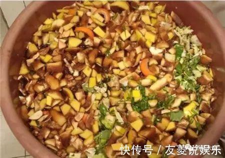 土壤|4种垃圾不会分类别担心,埋在花盆底,叶子绿得直滴油!