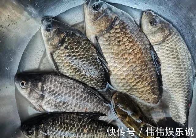 跟我学|让鲫鱼都进护的酒米怎么做？跟我学，省钱又给力