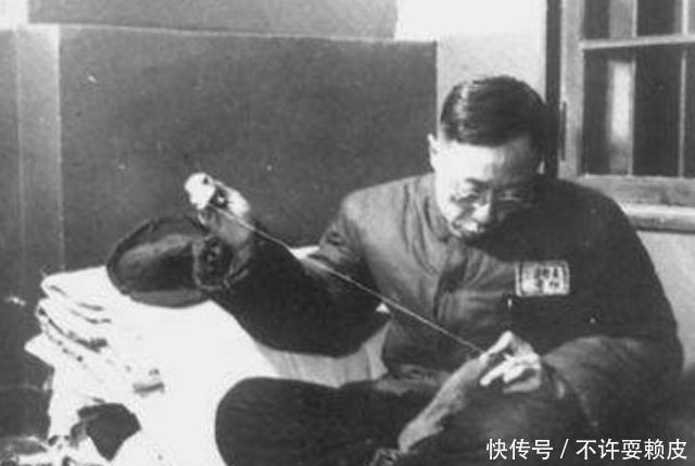 弟弟|溥仪一生孤苦终老，他得亲弟弟却儿女满堂，儿子个个成为国家栋梁！