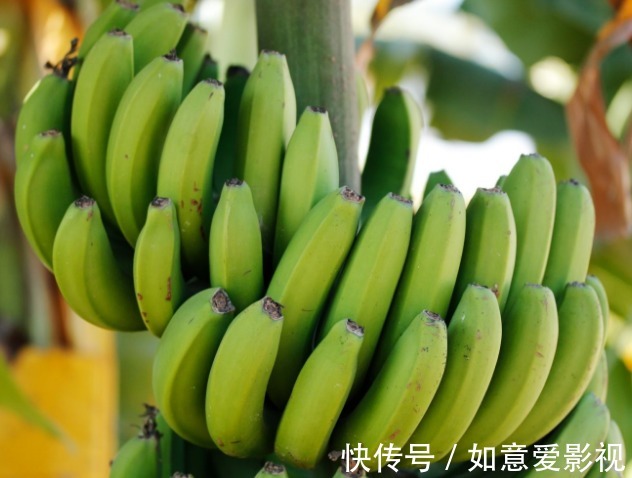 香蕉|冬季吃香蕉好处多,营养师:香蕉若能如此吃,好处还能多几个