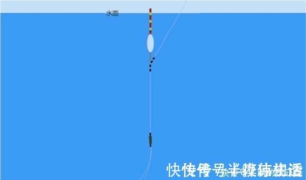 双饵|钓鱼调漂技巧:调四钓二,调五钓三,调二钓四,有哪些区别?