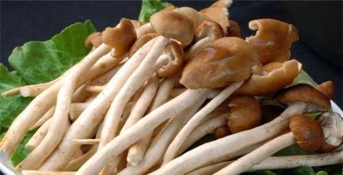 女性不妨多吃3种食物，强身健体，补血益气，越吃越年轻！