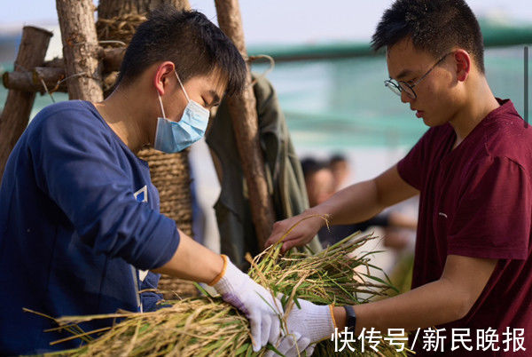 农业与生物学院|新农学堂来了 为何上海交大这门劳动课超热门？