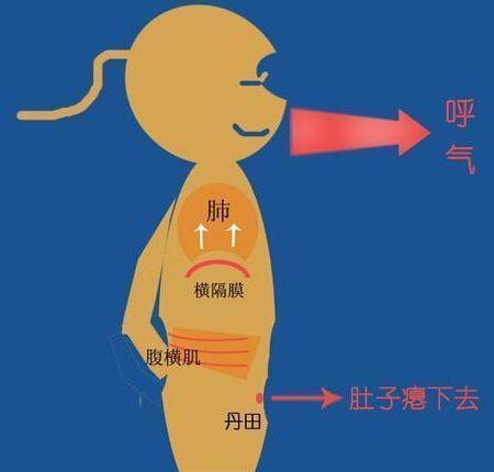 脏腑|7个标准,看你是否健康,符合2个以上的人,恭喜你,身体还不错