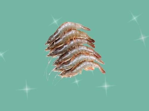 白色|今天才知道,白色虾皮和红色虾皮的区别原来差别这么大,涨见识