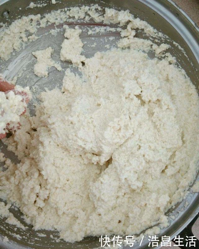 鱼肠|秋冬土里掺点它，君子兰，蟹爪兰，疯狂开花，叶子绿出油