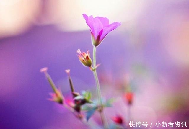 岁月|岁月匆匆又是一年,感恩有你