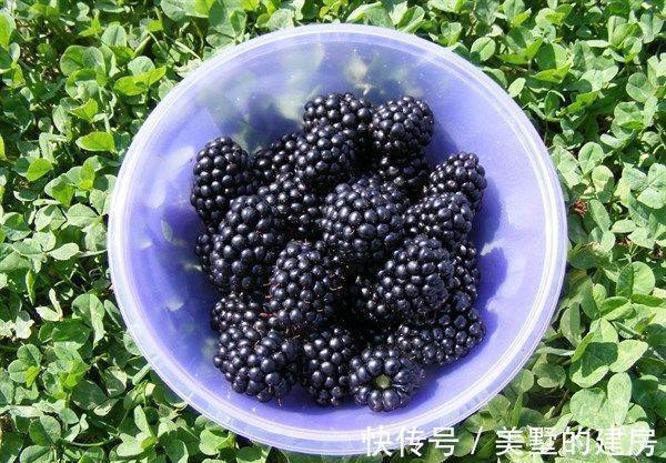 秋天|秋天来了,推荐多吃四种食物,滋养肌肤、排毒养颜,早吃早受益