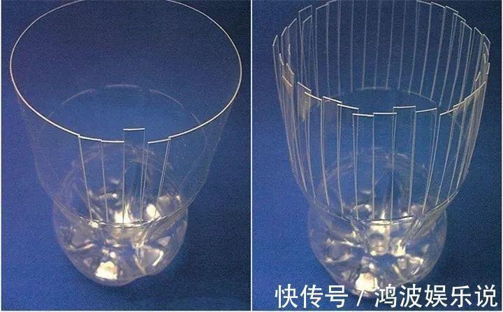 富贵竹|雪碧瓶别丢了,剪个口子拿来养花,一点不比买得花盆差!