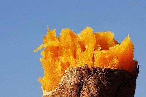 苦瓜|孕妈在怀孕早期要多吃这三种瓜,对孕妈身体健康和胎儿发育有益