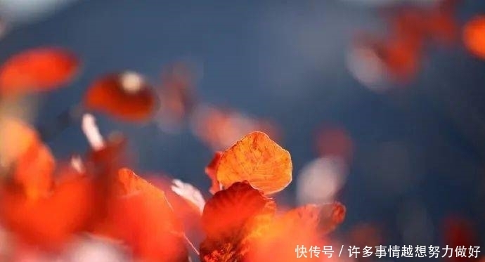 人生,没有下辈子