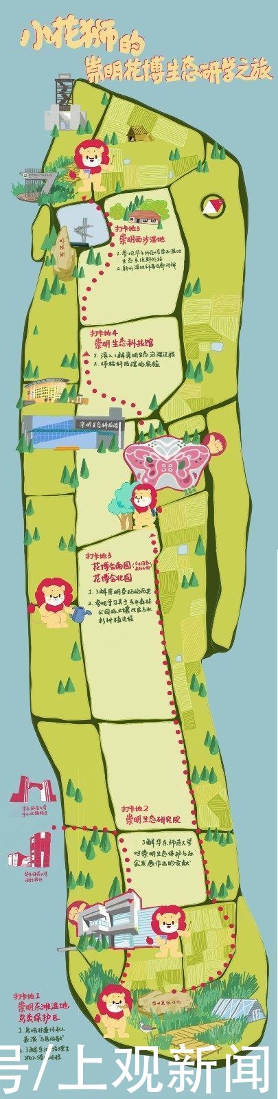 湿地|看，崇明来了只“小花狮”