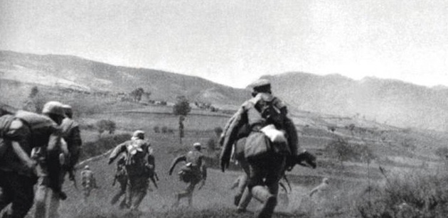 危险|抗战时最危险的动物,哪怕只剩一颗子弹也要把它杀了,不是军犬!