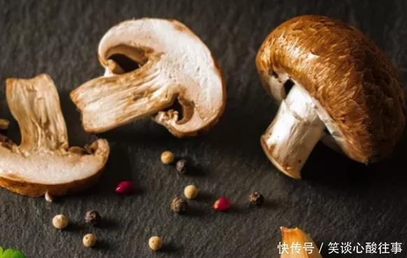 营养|要想进补,多吃蘑菇蘑菇富含蛋白质,与大米搭配可营养互补