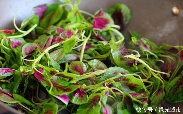 防癌|埋没在农村的防癌野菜,补钙比菠菜还厉害10倍,老少皆宜!