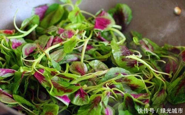 防癌|埋没在农村的防癌野菜，补钙比菠菜还厉害10倍，老少皆宜！