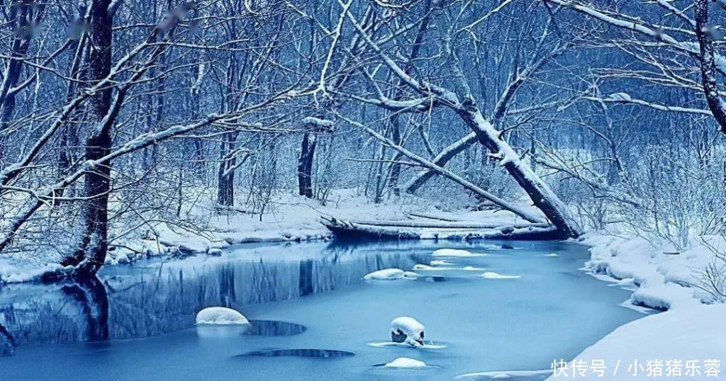 沉淀|入冬而不冻的奇观,来自“冰河”的叮咚优雅