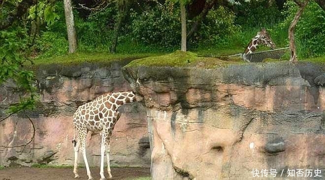 张让|9张让人产生“错觉”的照片,图8的小龙虾只是在锅里