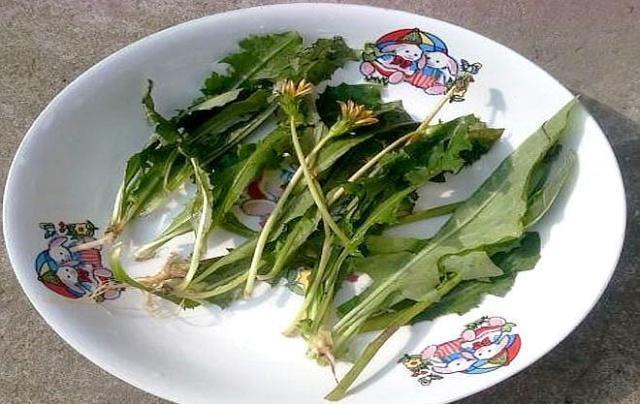 蔓越莓|提醒：胃不舒服的人，常用“一物”泡水喝，有助于抑菌，养胃护胃