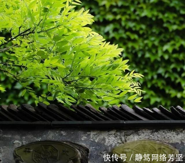 究竟谁是派人西天取经第一人