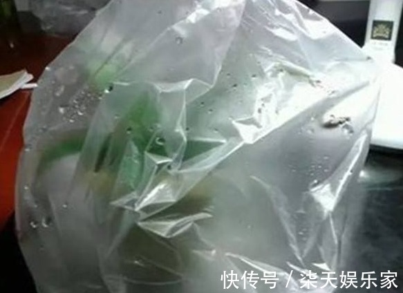 买东西的时候,塑料袋子不要扔掉,套在花盆上面,花朵叶子长更好