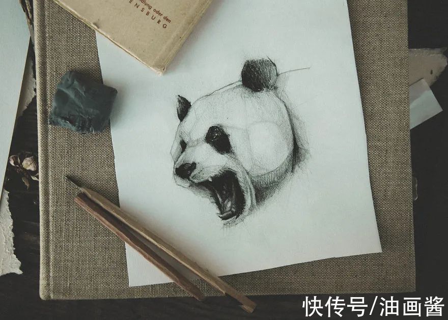 素描@艺术家公开自己的速写本,风格化的动物素描,?个个惹人爱