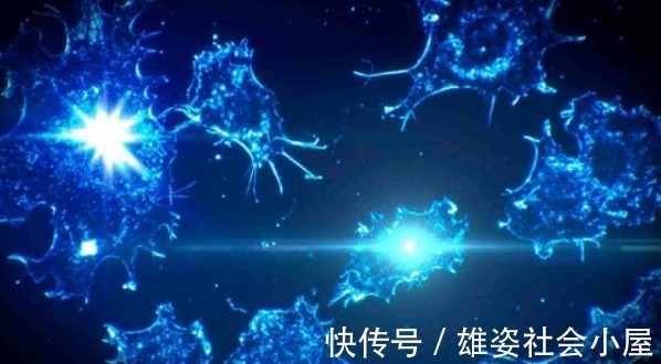 睡眠质量|免疫力是长寿“稳定剂”！专家：5大原则能记住，越老身体越强壮