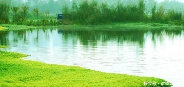 中间小谢又清发的小谢是谁?为什么他会