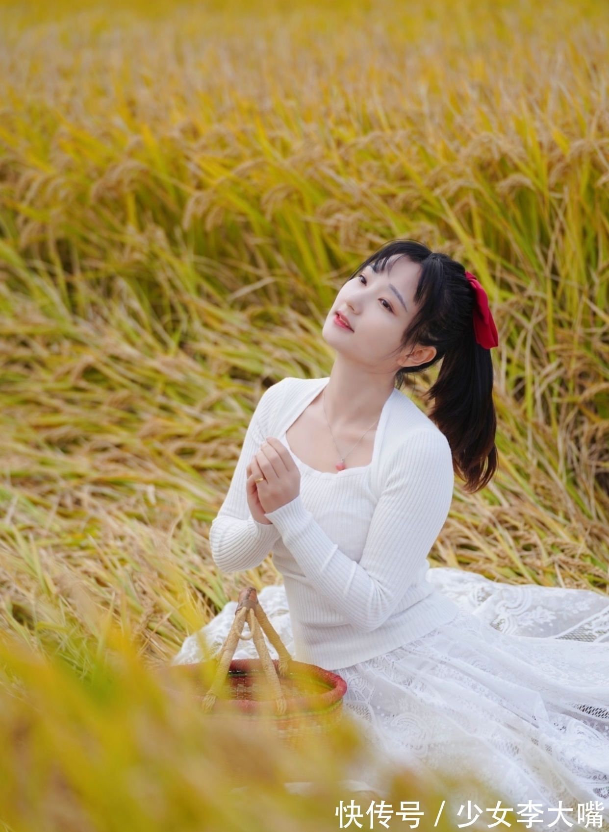 青罗#诗·十一首丨玄霜已覆青罗被,黄菊才妆金缕衣