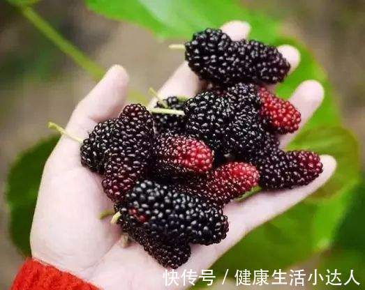 抗生素|腹胀、嗳气、还有口臭?被胃病反复折磨,可能都是它惹的祸