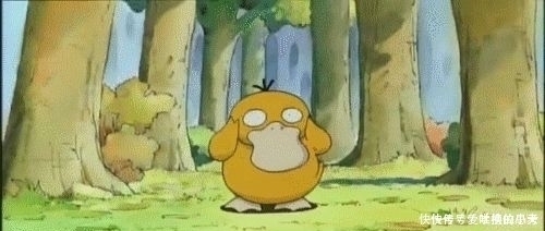 野蘑菇|警惕这道“菜”不要随便吃,最近已致多人死亡