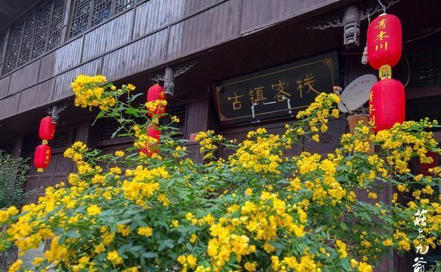 诗情画意|诗情画意的青木川在清晨的烟火中醒来