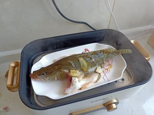 清清爽爽4个菜,20分钟上桌,有荤有素营养全,儿子说个个都好吃