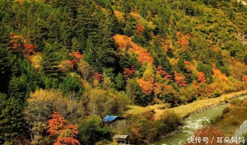 四川又一景区“飘了”，暗藏“小九寨”，门票30元不输香山胜景！