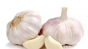 四种让你血液更年轻的食物,血管变软了,血脂不稠了