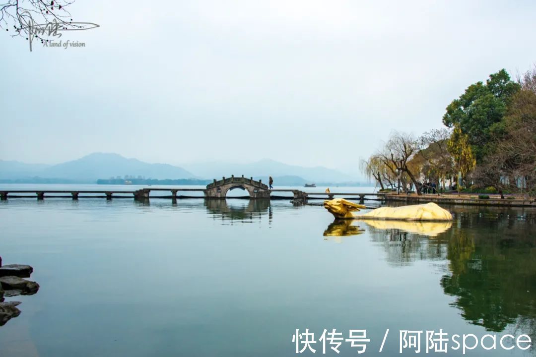 草棚子|西湖银鸥群不知从什么时候起已经消失不见，或许只是换了根据地？