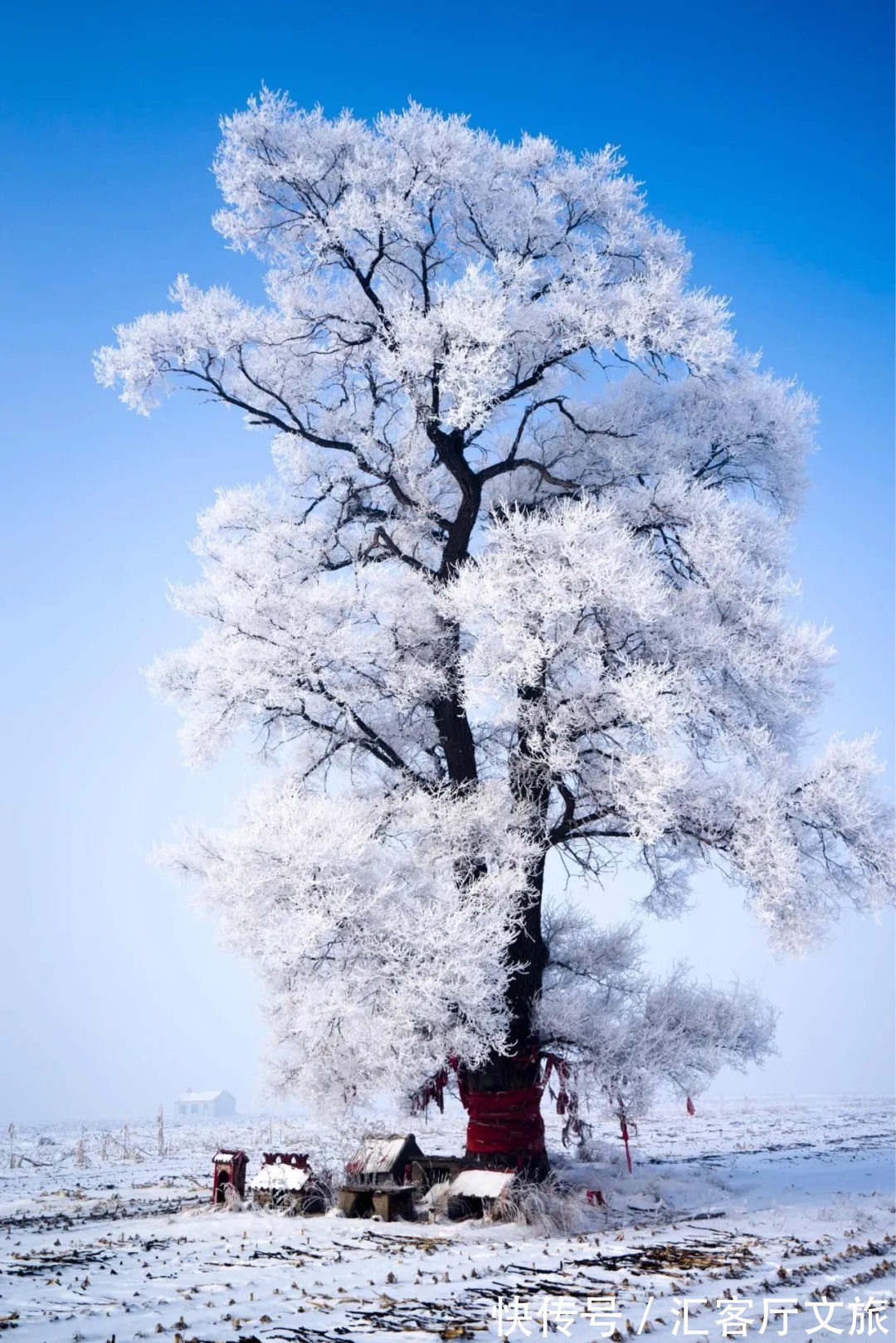 白雪|50个到了冬天更美的国内地方，我去过10个，你呢？