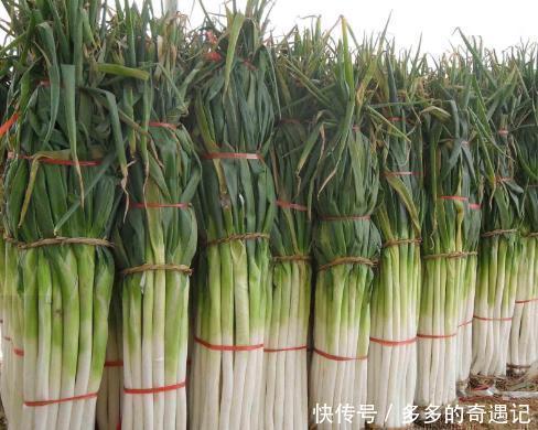 买大葱，内行人就看这5处，一眼分辨好坏，菜贩这人不好忽悠