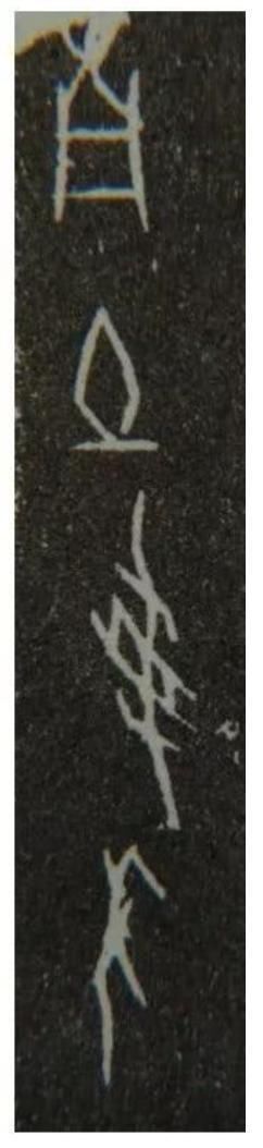 甲骨文&古人为什么用文言文?真实原因,让人忍俊不禁